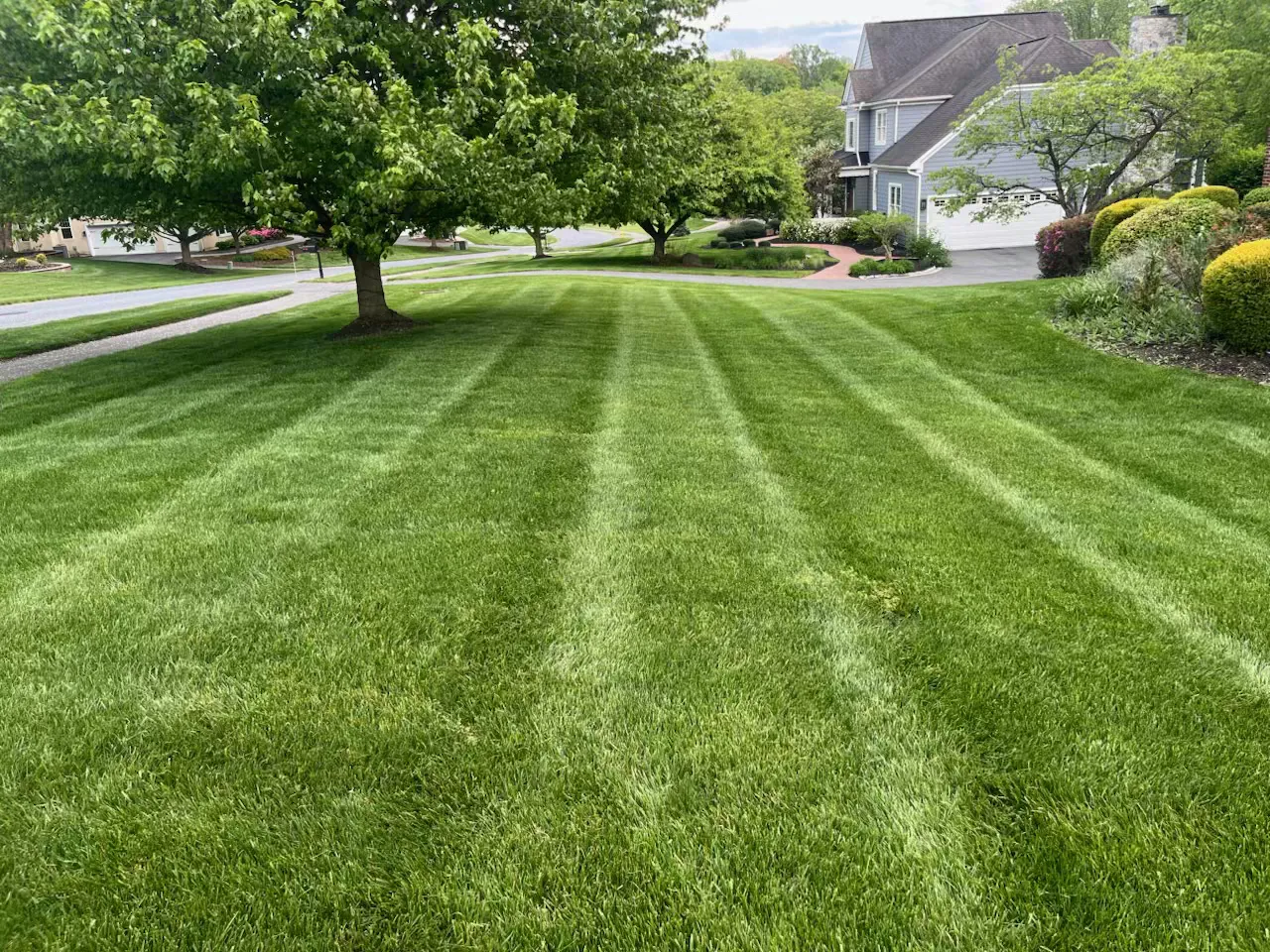 A freshly striped green lawn maintained by Delaware Lawn Crew in front of a New Castle County home